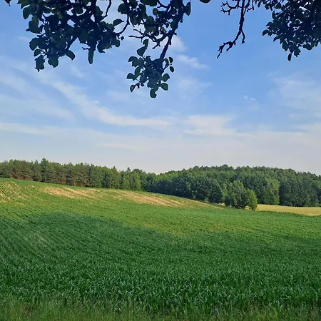 Ferienhaus Zielona Ostoja