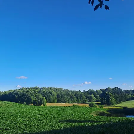 Zielona Ostoja Ferienhaus Brodnica (Kartuzy)