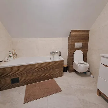 Zielona Ostoja Ferienhaus Brodnica (Kartuzy)